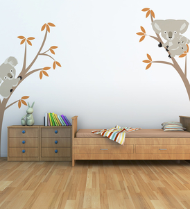 Koala on Trees