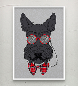 Scottish Terrier Poster