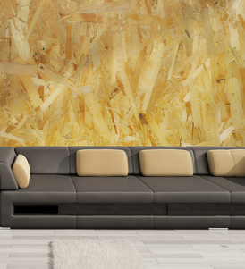 The Artists Impressions