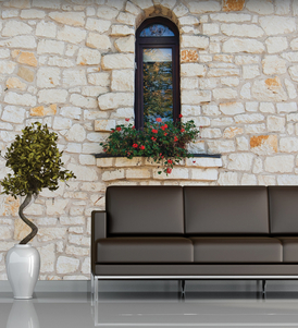 The Beautiful Window