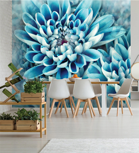 The Blue Flower Beauty