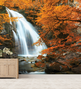 Waterfall In The Forest