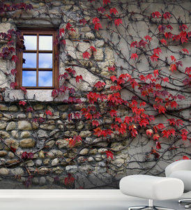 Wine Flower Climbers