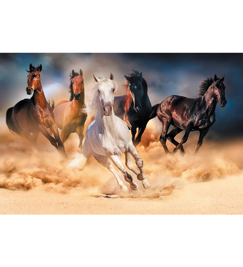 The Graceful Horses - 215 - Wallskin