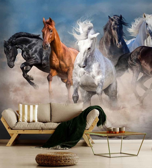 Tận hưởng màn hình nền độc đáo với bảy con ngựa tuyệt đẹp trong bộ sưu tập Wallskin