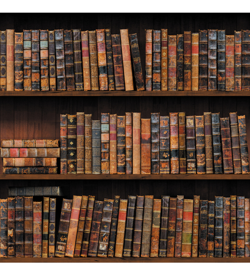 The Wall Of Books - 3666 - Wallskin