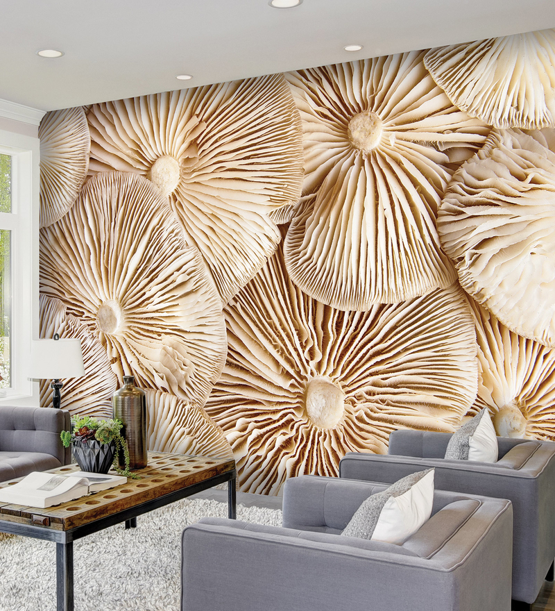 Mushrooms On The Wall 5775 Wallskin