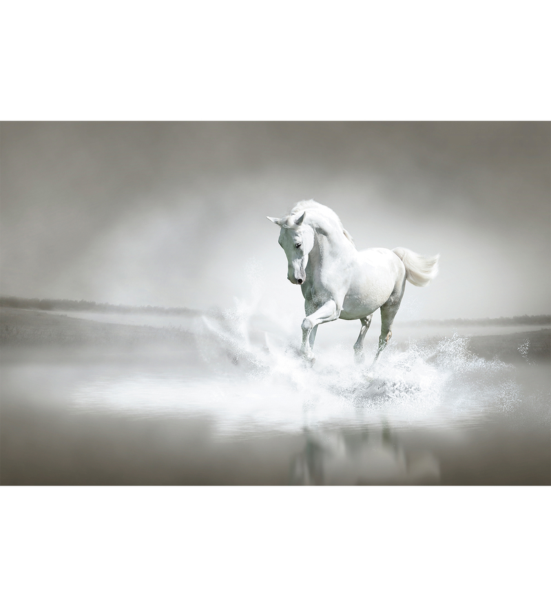 The Magnificent White Horse - 217 - Wallskin